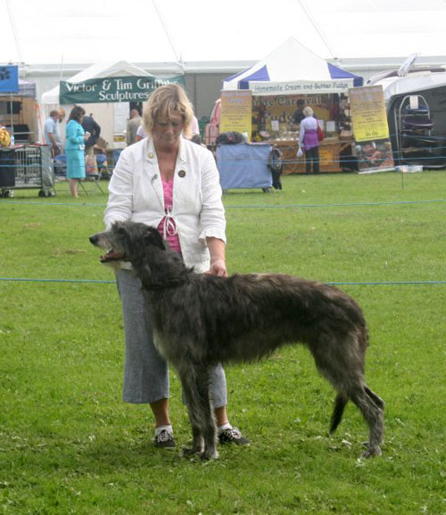 Shagiead Lady Sea with Greybrows